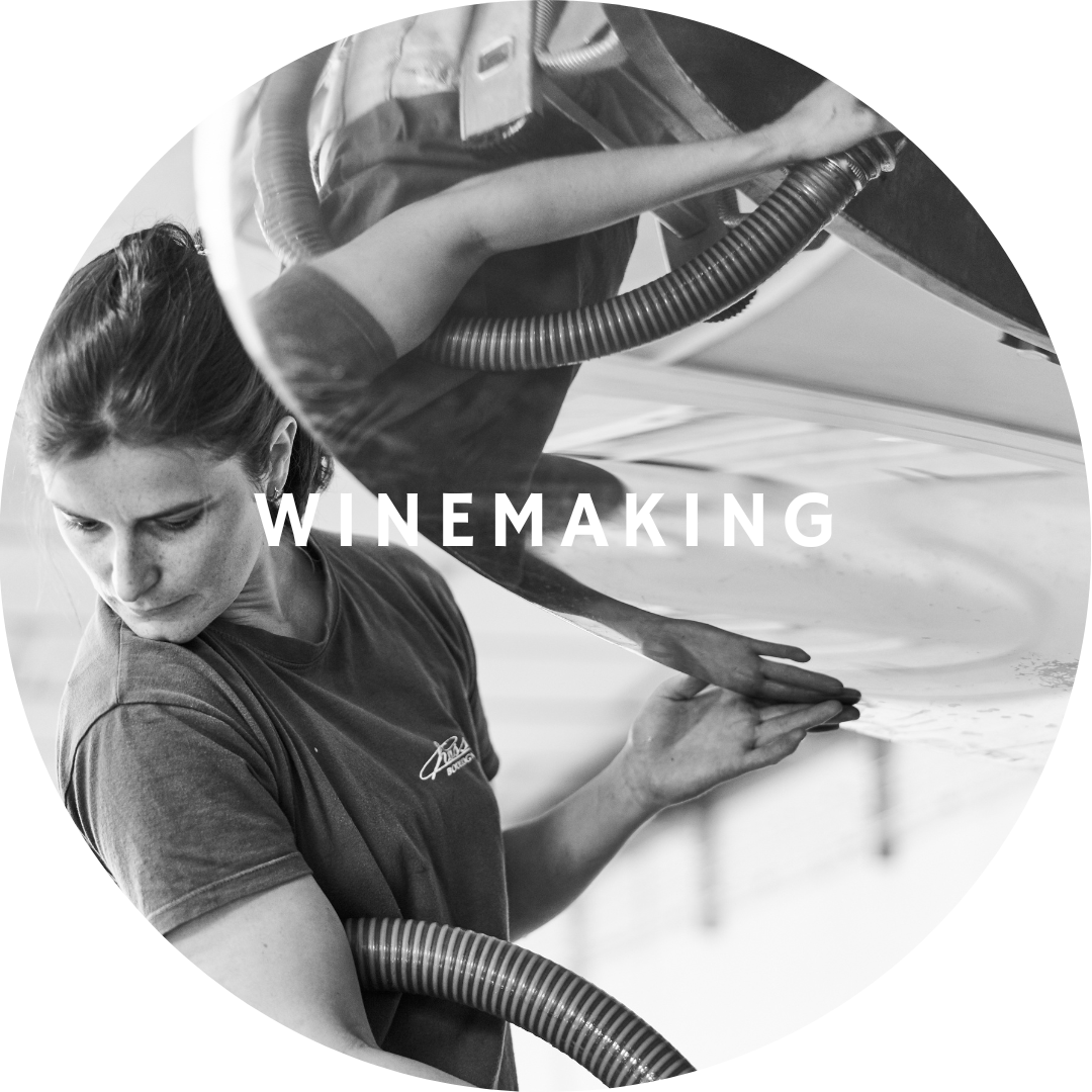 Photo of Capucine Muzard, winemaker at Domaine Lucien Muzard et fils in Santenay, Côte de Beaune, Burgundy. She is pumping over a vat of Santenay 1er Cru Gravières, a pinot noir red wine cuvée.